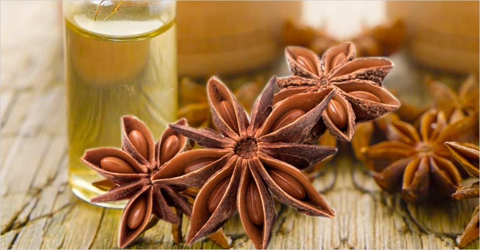 Lợi ích sức khỏe của hoa hồi