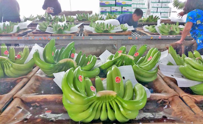 Lợi Ích Sức Khỏe Từ Chuối
