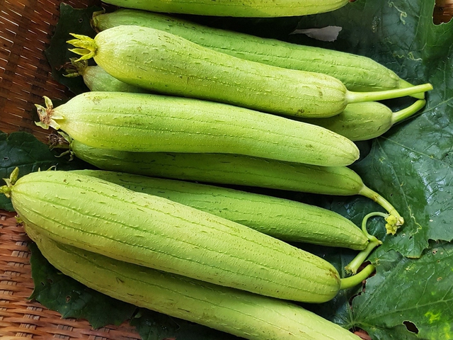 Giá Trị Dinh Dưỡng Của Mướp