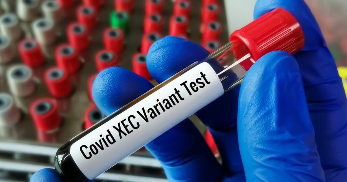 Tốc độ lây lan của Biến thể XEC