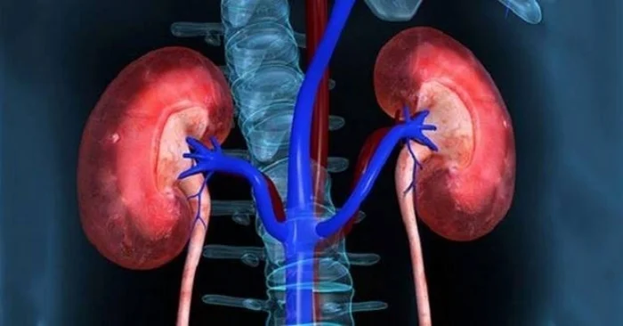Nguyên nhân chính gây tổn thương thận cấp